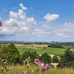 Blick ins Ries vom Mähhorn bei Huisheim.