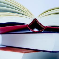 Das Bild zeigt Bücher