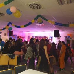 Das Bild zeigt den Faschingsball in Ehingen.