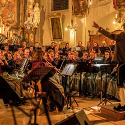 Das Bild zeigt die Musikkapelle Tapfheim.