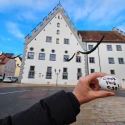 Das Bild zeigt das Landratsamt Donauwörth.