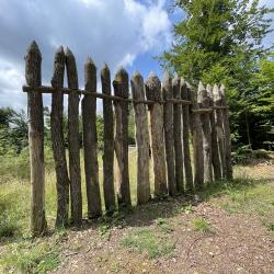 Eine Grenze die verbindet – Der römische Limes als Chance für die Artenvielfalt von Simon Sulk und Manni Bauer.