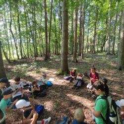 Das Wildniscamp am Wurzelhof bietet ein spannendes Programm.