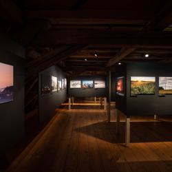 Blick in die Schwaben-Ausstellung