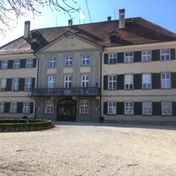 Hier sieht man das Schloss von Amerdingen.