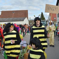 Oberndorfer Faschingsumzug 2024