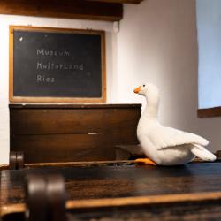 Museumsgans Marie in der Dauerausstellung des Museums KulturLand Ries.