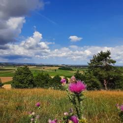 Blick von einem Berg, vor der Kamera sind Blumen