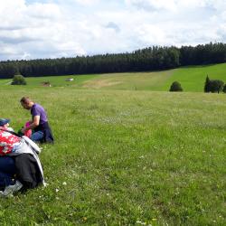 Kleine Naturdetektive erkunden die heimische Flora und Fauna.