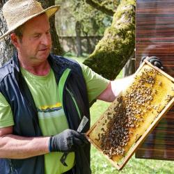 Museumsimker Anton Göck im Bienen-Garten
