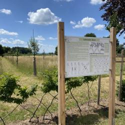 Botanischer Garten Wemding: Info-Tafeln sollen die Besucher*innen über die alten und zum Teil seltenen Obstsorten aufklären.