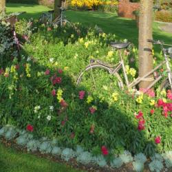 Die Radtour durch drei Landkreise führt u.a. durch die Blumenstadt Rain