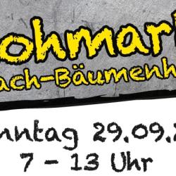 Flohmarkt Asbach-Bäumenheim 