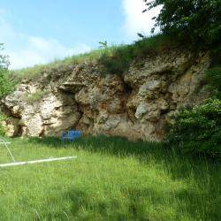 Verkalktes Algenriff am Sportplatz in Hainsfarth