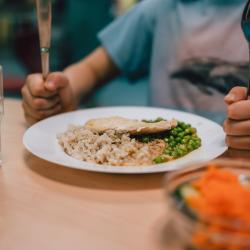 Mittagessen in Kitas und Schulen 