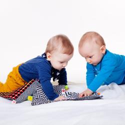 Die Kinder spielen zusammen.