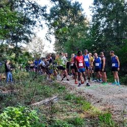 Hauptlaufstart 2023