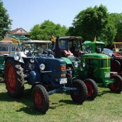 Bulldogtreffen in Wemding