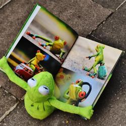 Kermit der Frosch schaut sich ein Bilderbuch an.