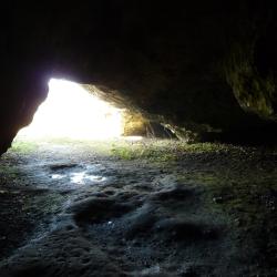 Blick aus der Ofnethöhle
