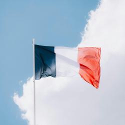 Fahne Frankreich