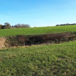 Dolinenlehrpfad Tagmersheim/Rögling