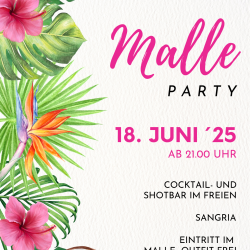 Malle Party Ebermergen 