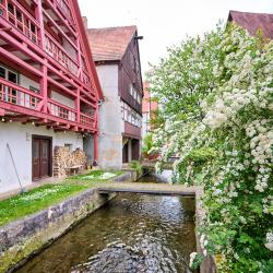 Gerbervietel Nördlingen 