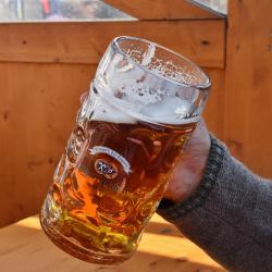 Das Bild zeigt einen Arm, der ein Maß Bier hält.