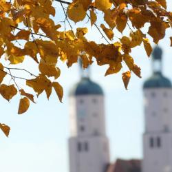 Kulinarischen Herbst Wemding