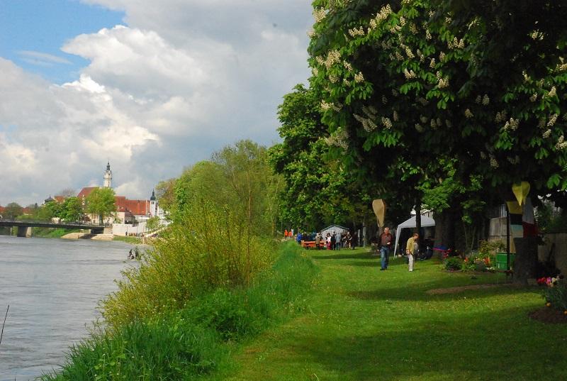 Die Donau ist endlich in der Stadt|Donauwörth|Donau-Ries-Aktuell