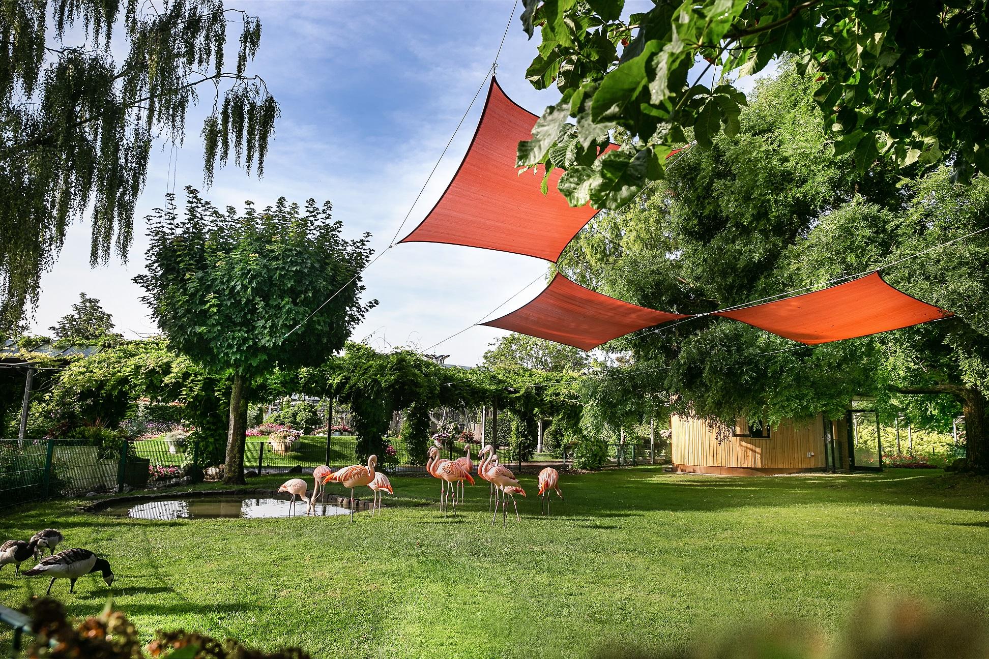 Dehner Blumenpark und Gartenbistro ab sofort wieder Rain