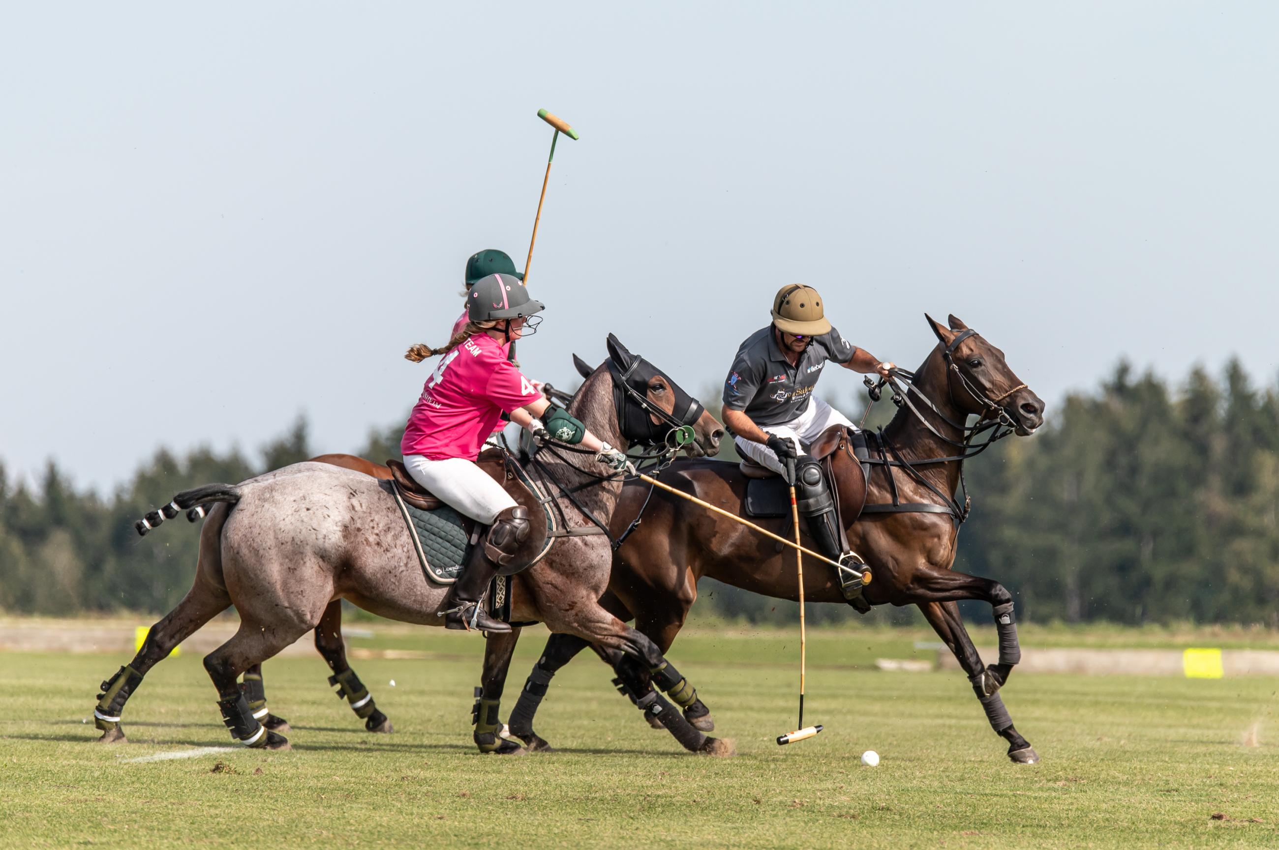 Polo-Das-Spiel-der-K-nige