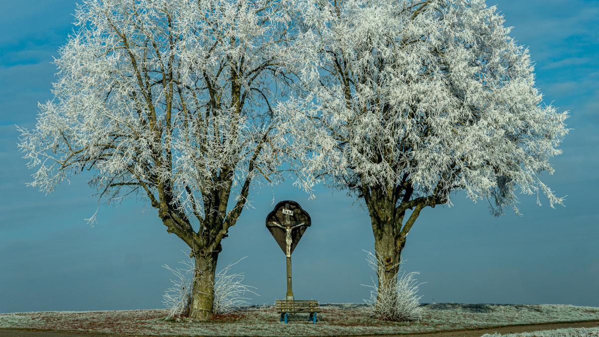 Harburger-Fotofreunde-k-ren-Foto-des-Monats-Dezember-2025