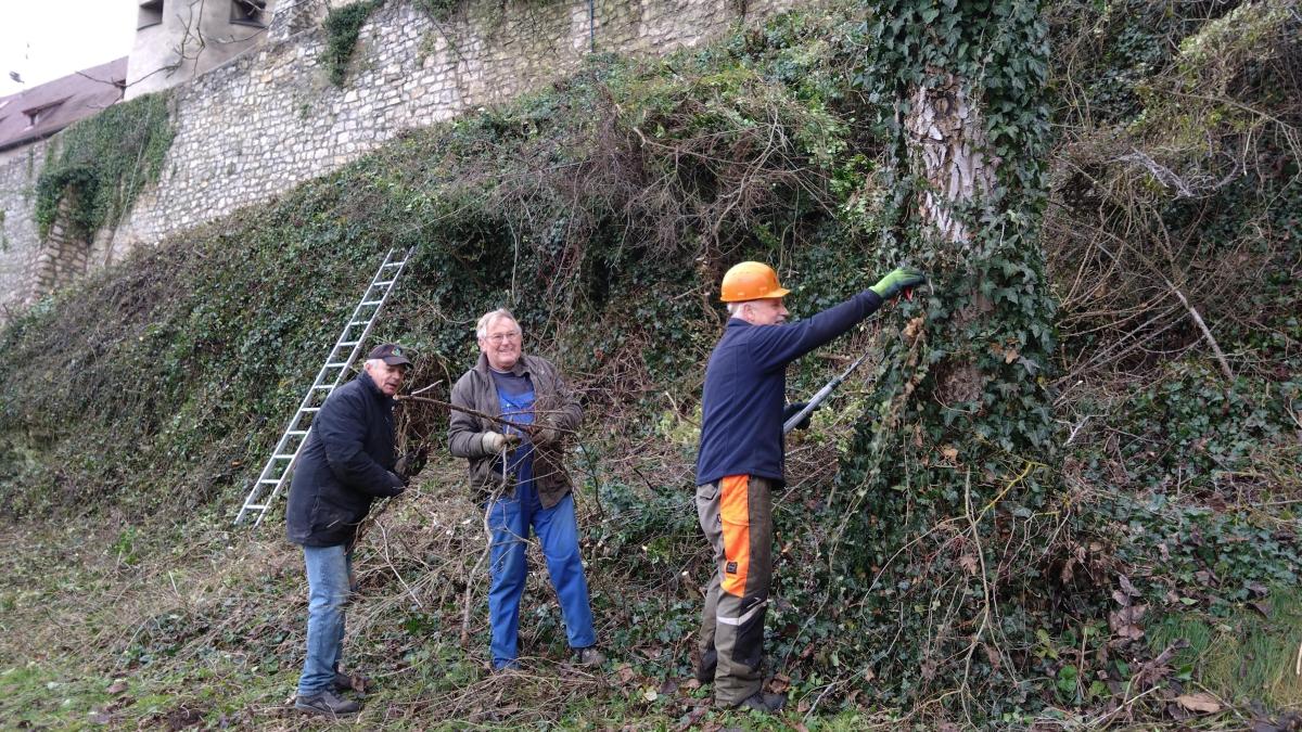 Gemeinsam-stark-f-r-die-Harburg