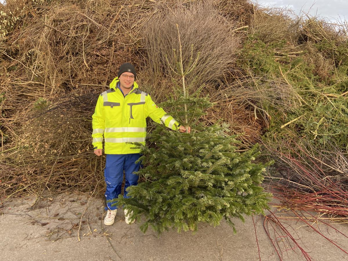 Entsorgung-von-Christb-umen-Kostenlose-Annahme-auf-den-Recyclingh-fen